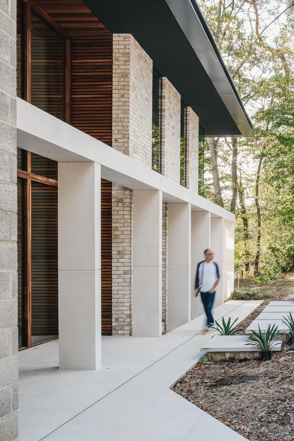 Treetops House designed by OB Architecture