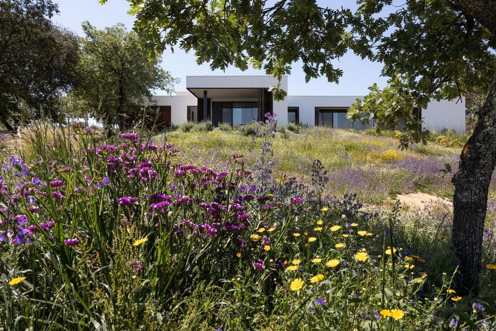 garden, Inês Brandão Arquitectura