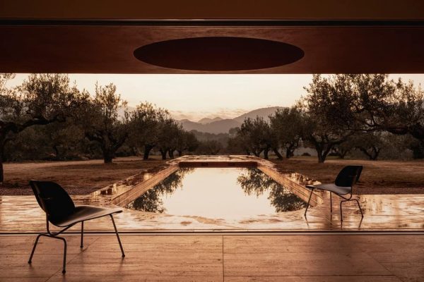 The Olive Grove House / Balzar Arquitectos