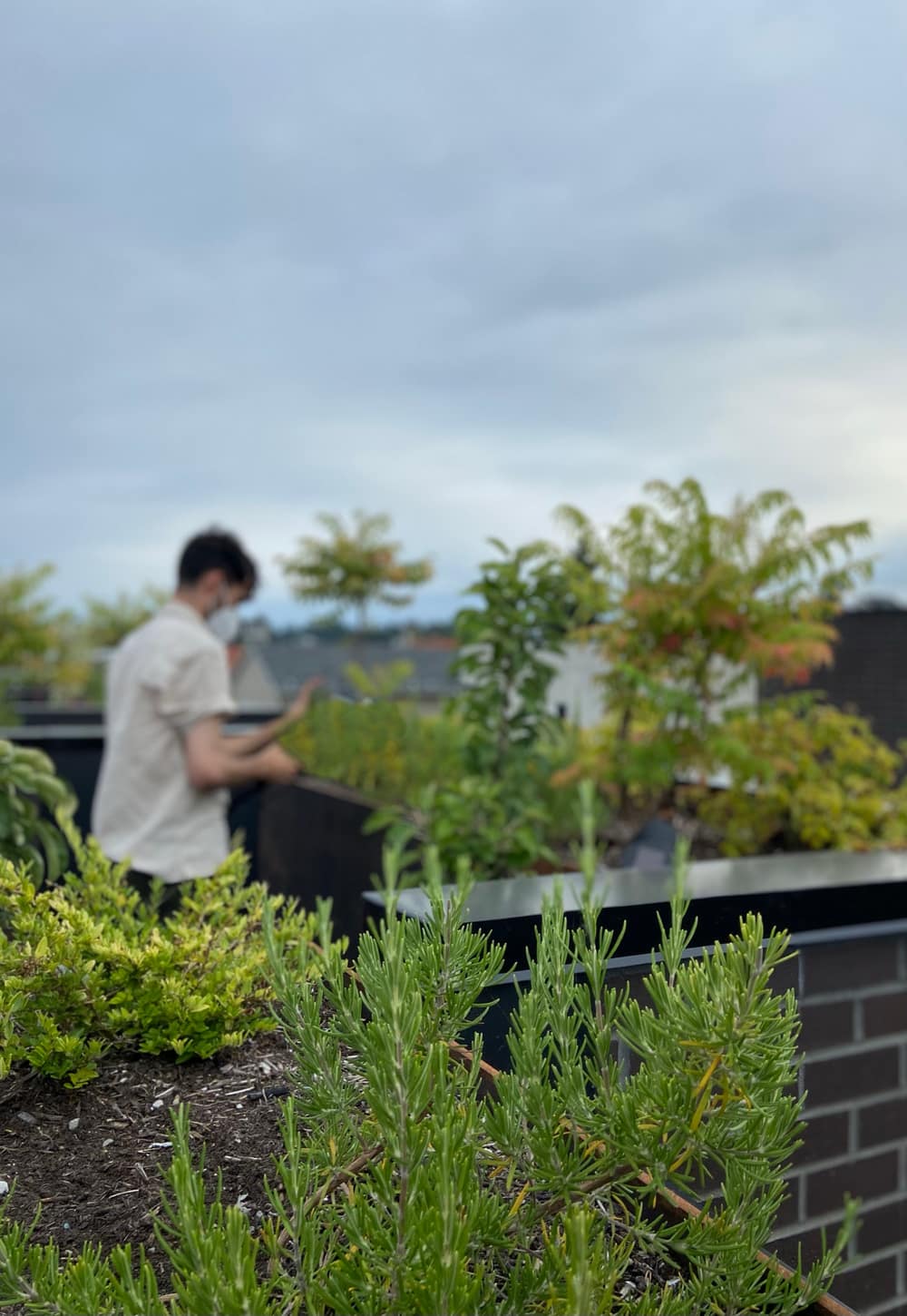 roof garden