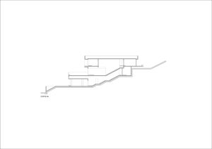 section