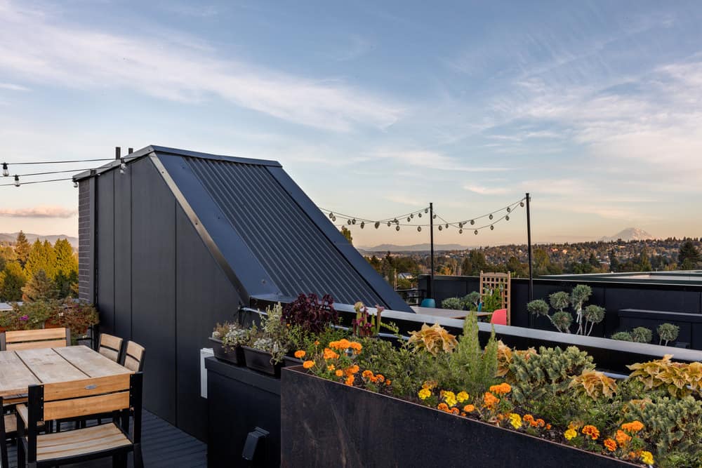 roof garden