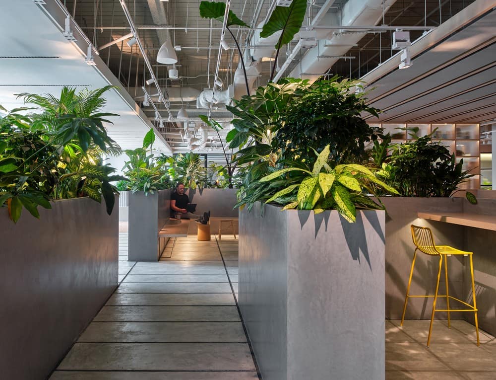 biophilia, M Moser Associates