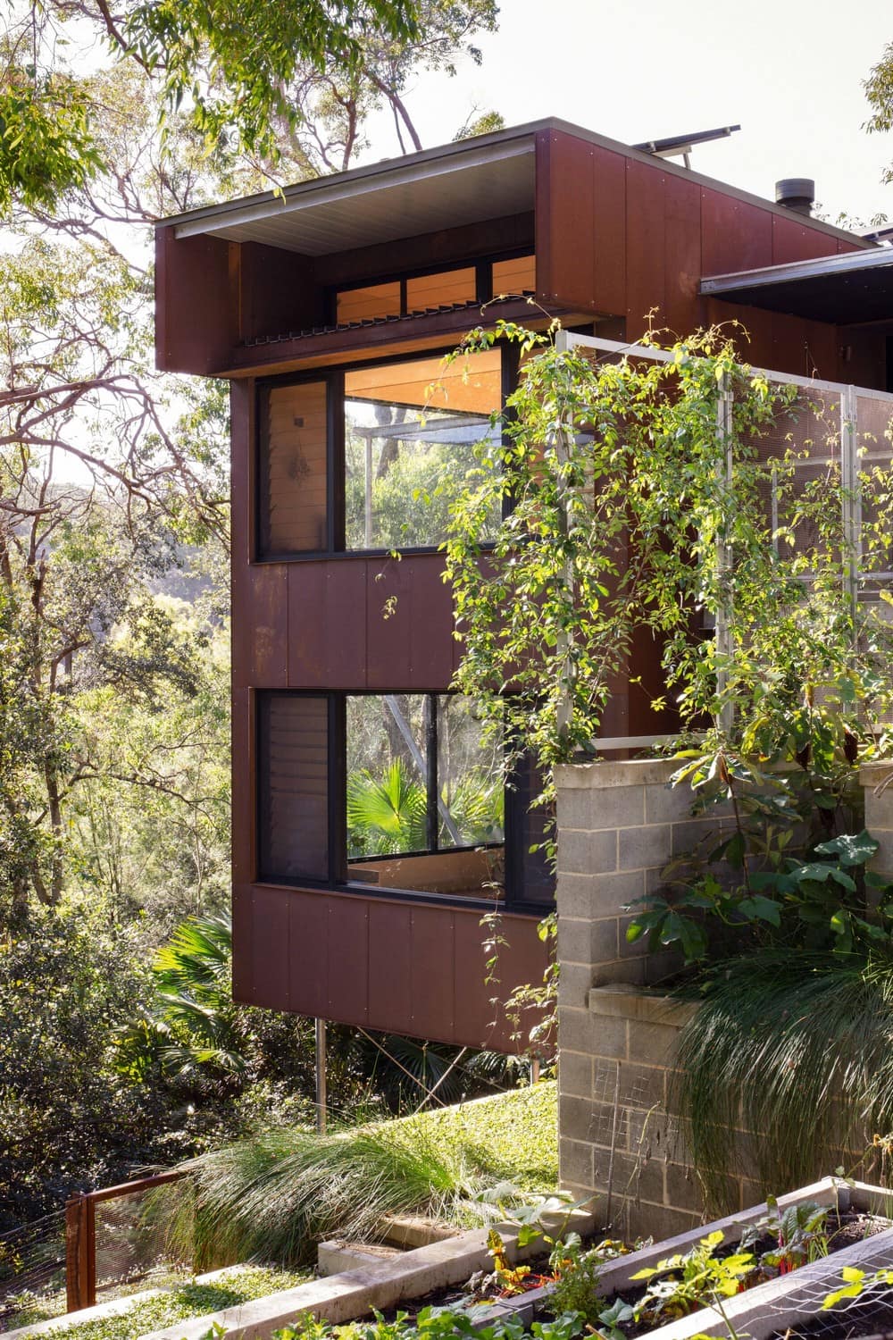 Tree House on the Land of the Garigal People