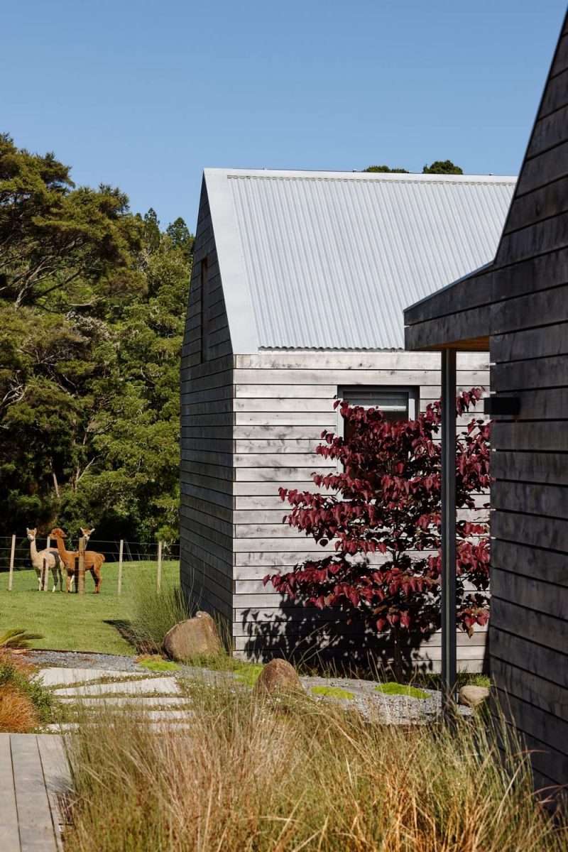 Apple Shed / Strachan Group Architects