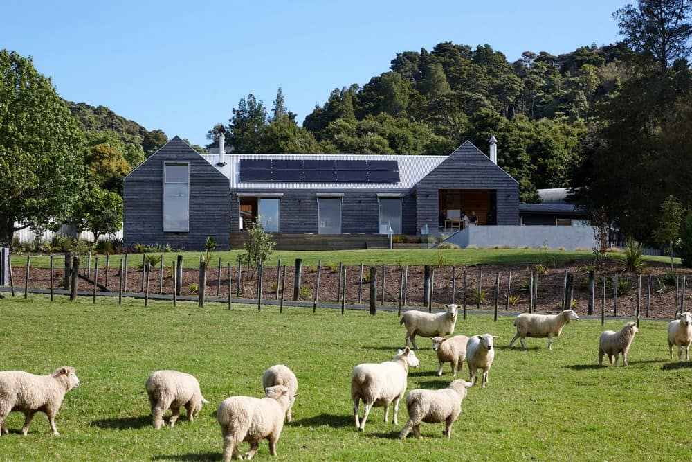 Apple Shed / Strachan Group Architects