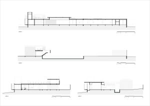 section