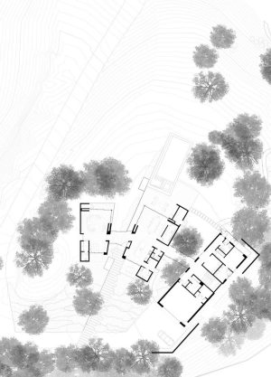plan 1, Madrone Ridge House