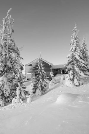Dobbel Hytte / Mork-Ulnes Architects