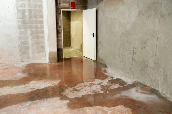 The Dual Need: Basement Waterproofing in Toronto and Efficient Bin Rentals in Scarborough