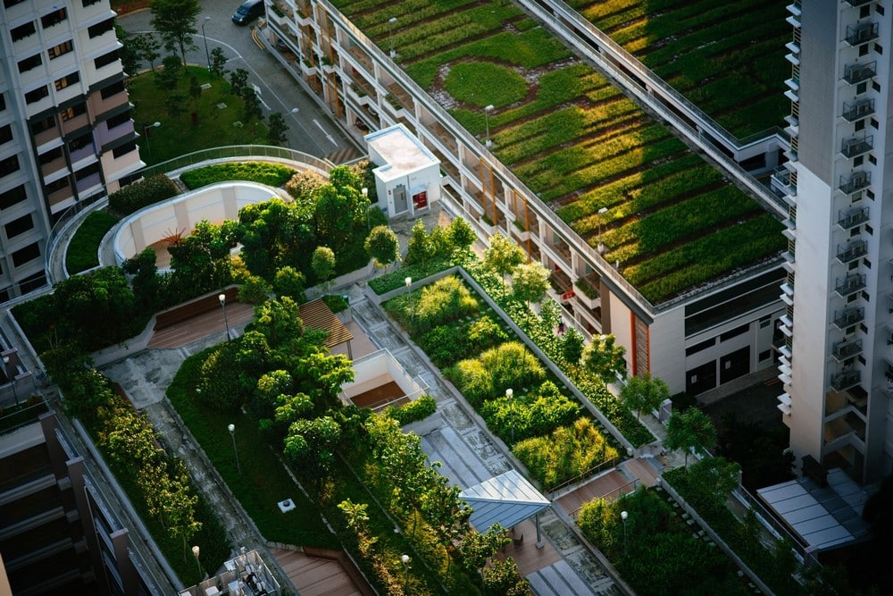 The Most Impressive Urban Rooftop Gardens in Chicago, Rooftop Gardens in Chicago