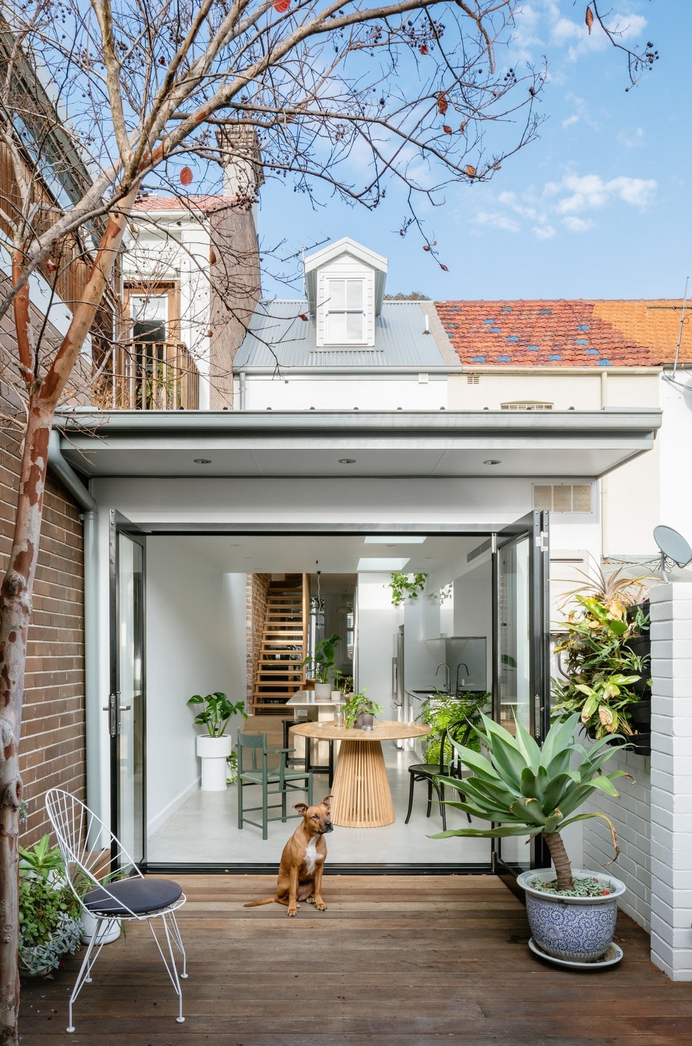 Paddo Terrace / Sandbox Studio