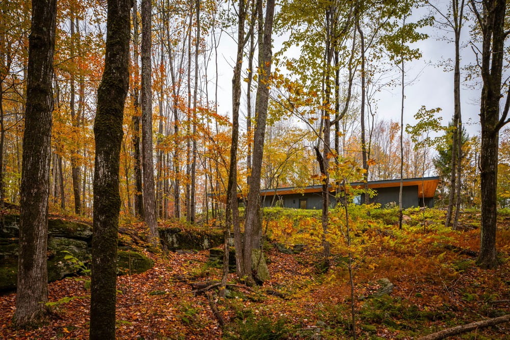 Livingston Manor House / Marc Thorpe Design