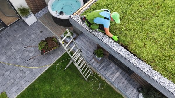 Green Roof Maintenance