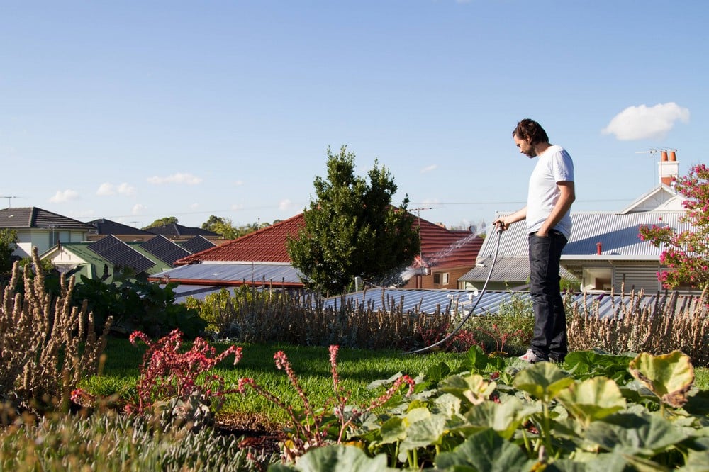 Green Roof Maintenance