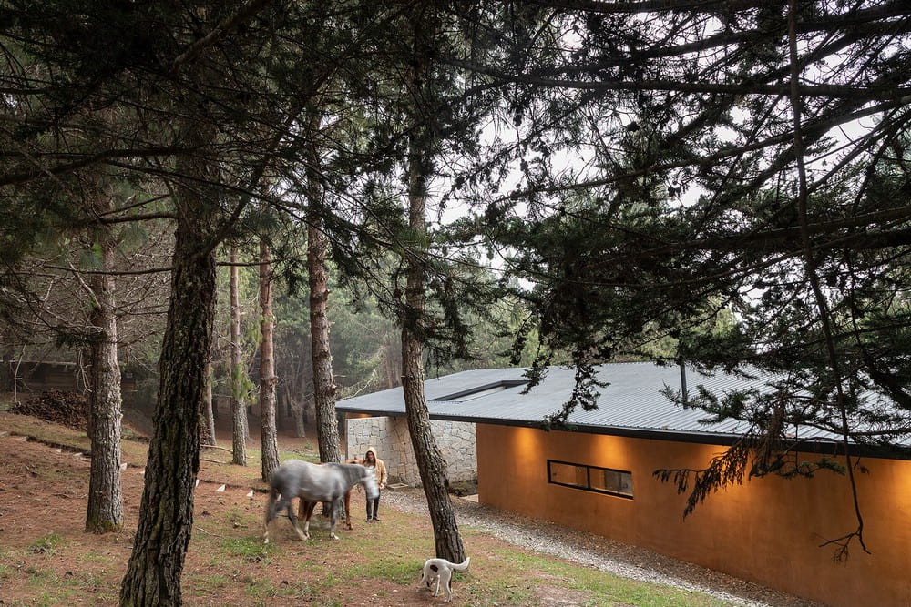 Casa del Bosque / Abel Guzman Larriva + Juan Vintimilla