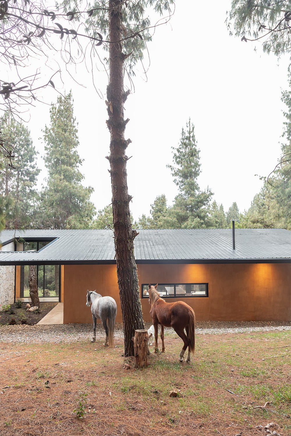 Casa del Bosque / Abel Guzman Larriva + Juan Vintimilla