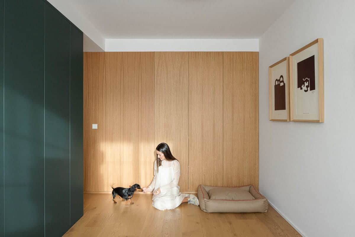 CV Apartment Renovation in Avilés / David Olmos Arquitectos