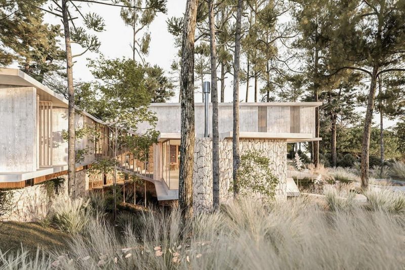 39 Arboles House / Grizzo Studio