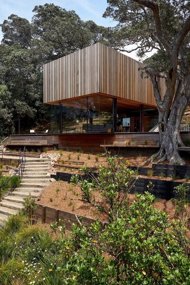 Mawhitipana House / MacKayCurtis