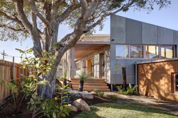 Canopy CLT House / Still Space Architecture