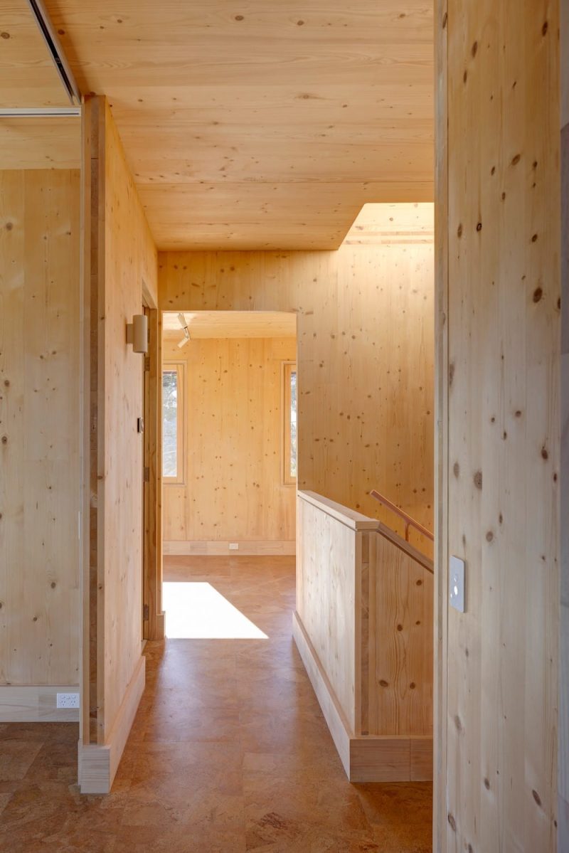 Canopy CLT House / Still Space Architecture