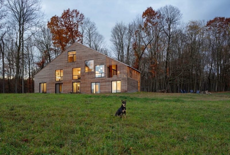 House Between Forest and Field / nArchitects