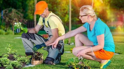 How to Prepare for a Successful Landscaping Overhaul in Your Backyard