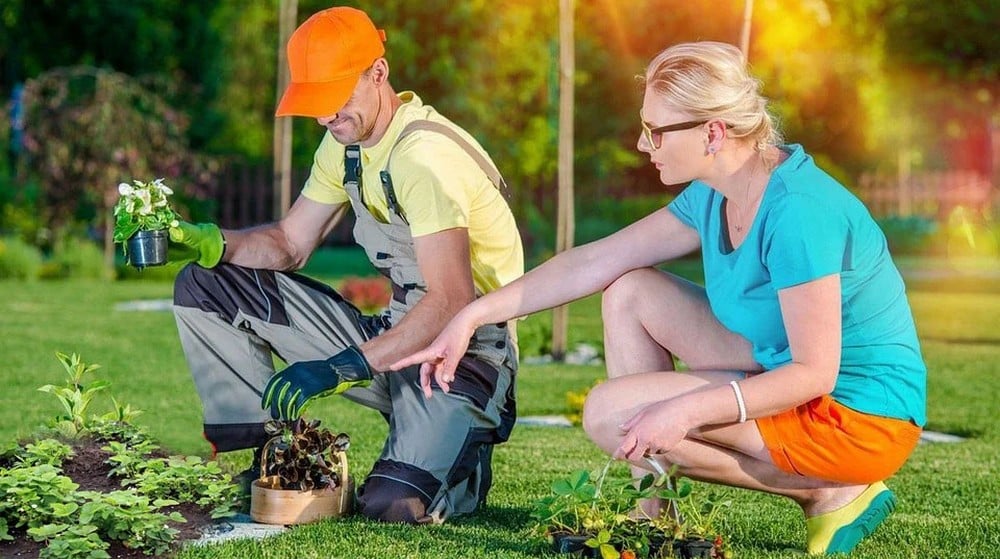 How to Prepare for a Successful Landscaping Overhaul in Your Backyard