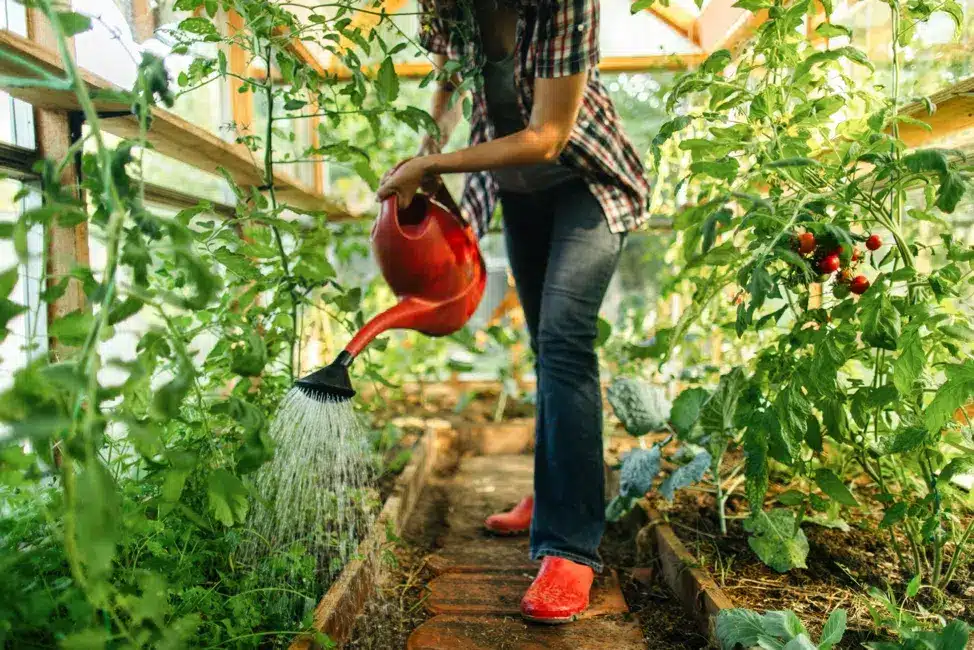 Elevate Your Gardening: How Greenhouses Revolutionize Cultivation