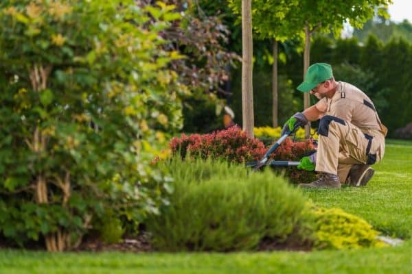 A Comprehensive Guide to Professional Lawn Care and Landscaping