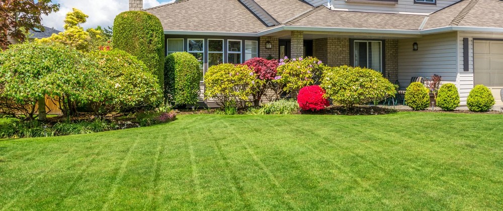 A Comprehensive Guide to Professional Lawn Care and Landscaping