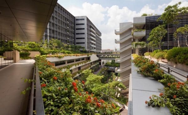 Incorporating Biophilic Design into Urban Apartments