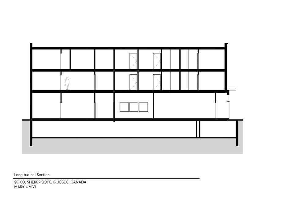 longitudinal section