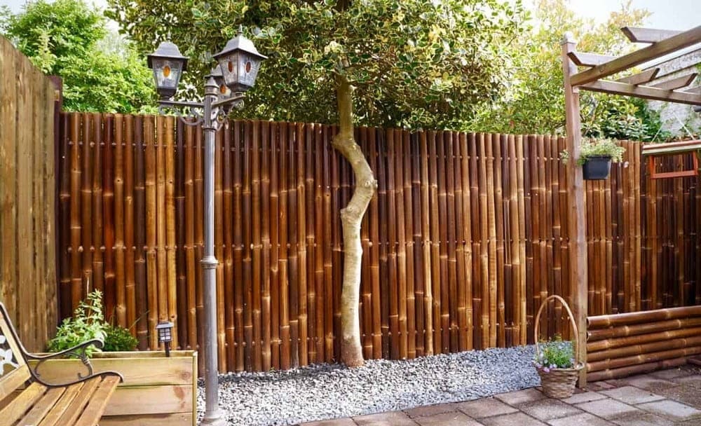 Bamboo Fences