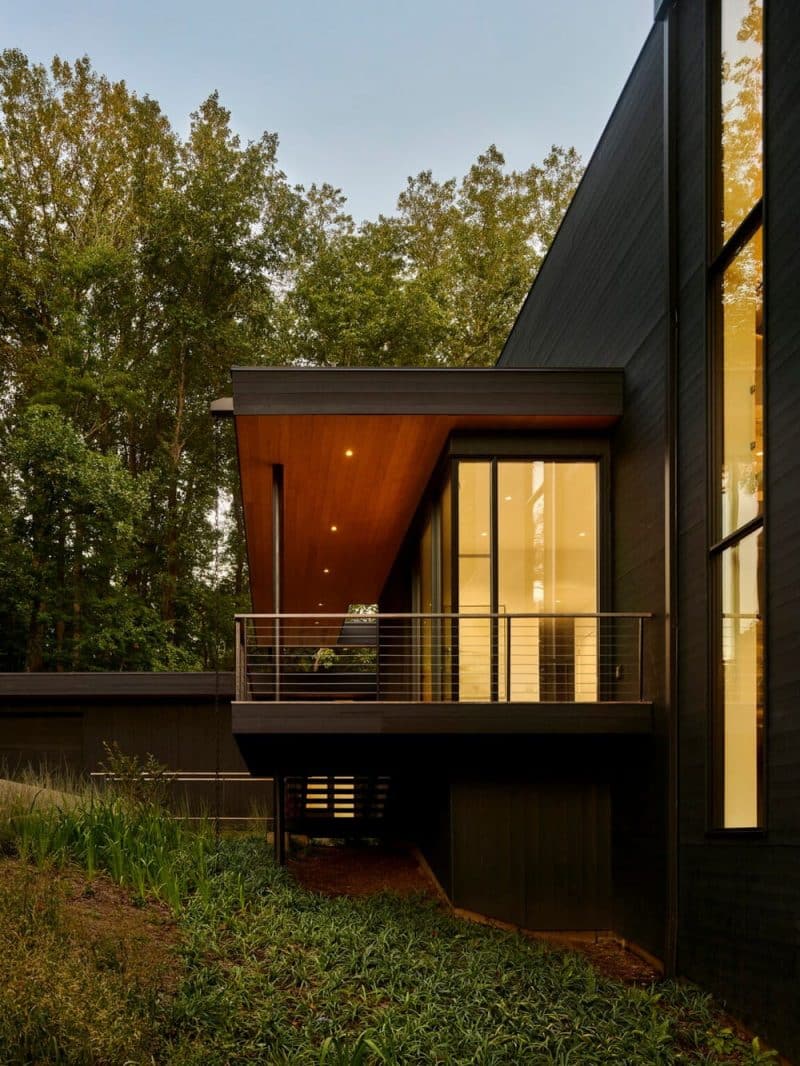 Virginia Tree house / Robert Young Architects