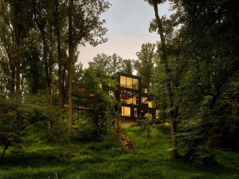 Virginia Tree house / Robert Young Architects