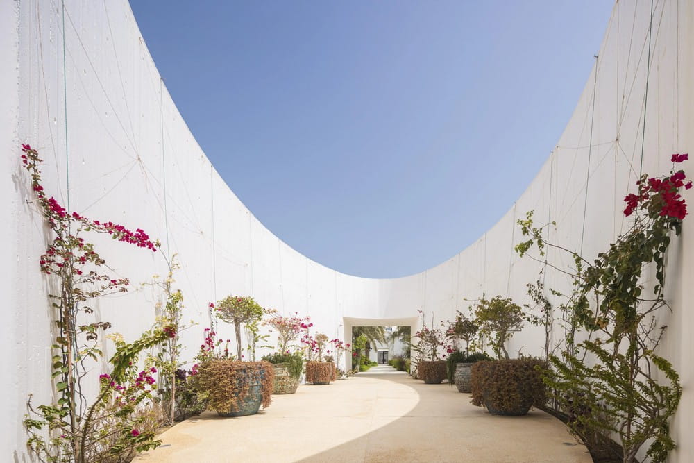 White Fortress / TAEP/AAP