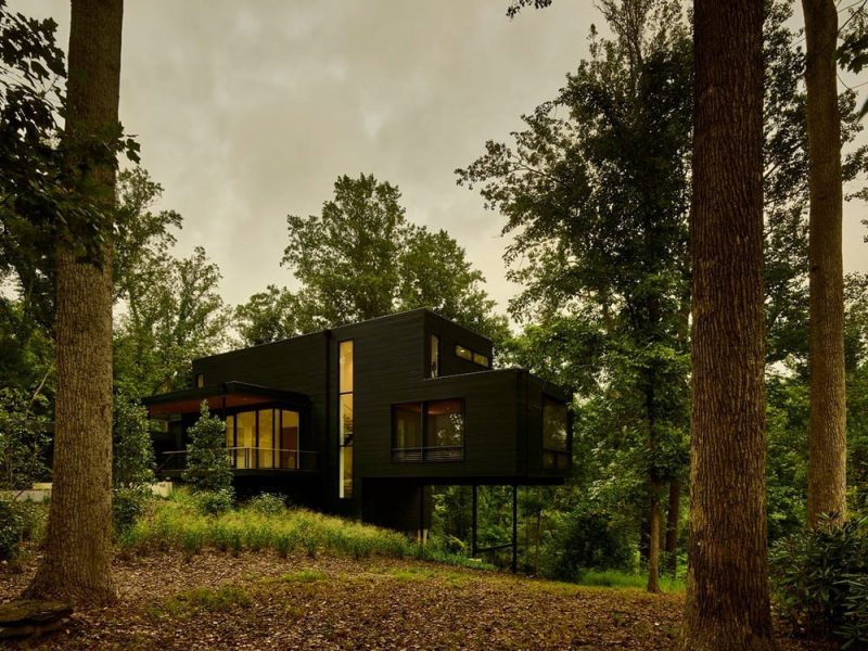 Virginia Tree house / Robert Young Architects