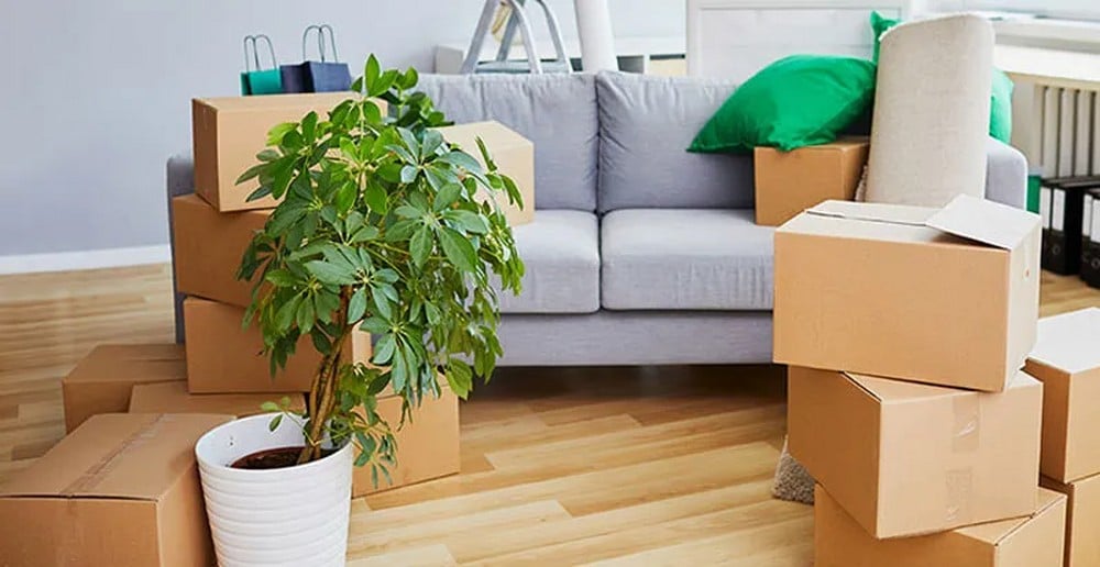 Preparing for Moving Day: Must-Do Tasks Before Settling Into Your New Home