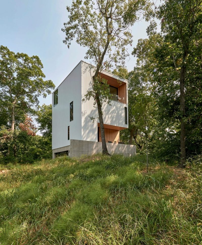 Tree Vertical House / dSPACE Studio