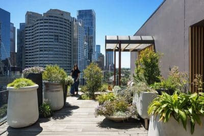 garden