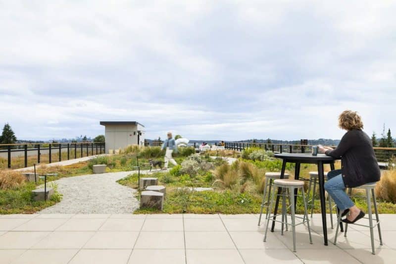 roof terrace
