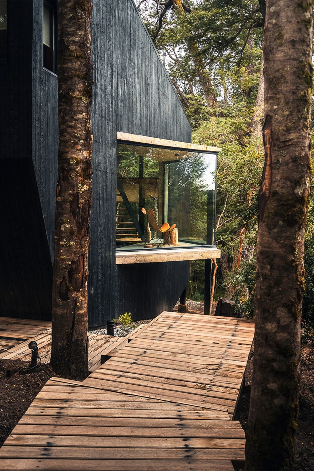 Gallareta House / Organic & Joyful Architecture
