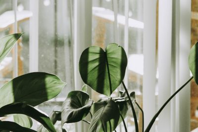 5 Ways to Improve Your Indoor Air Quality