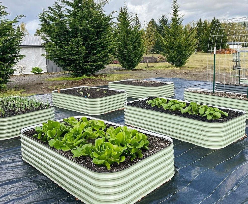 How to Keep Animals out of Raised Garden Beds