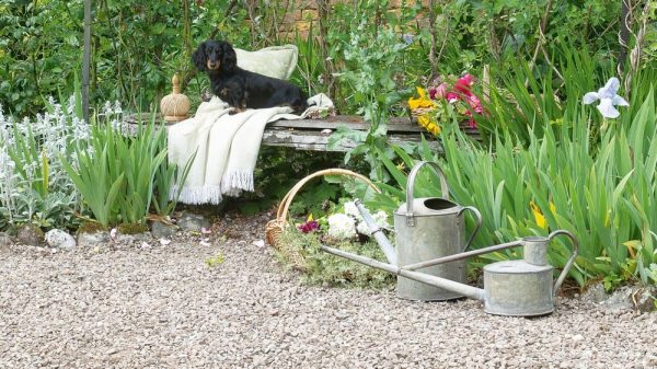 5 Budget-Friendly Landscaping Ideas for Stunning Curb Appeal