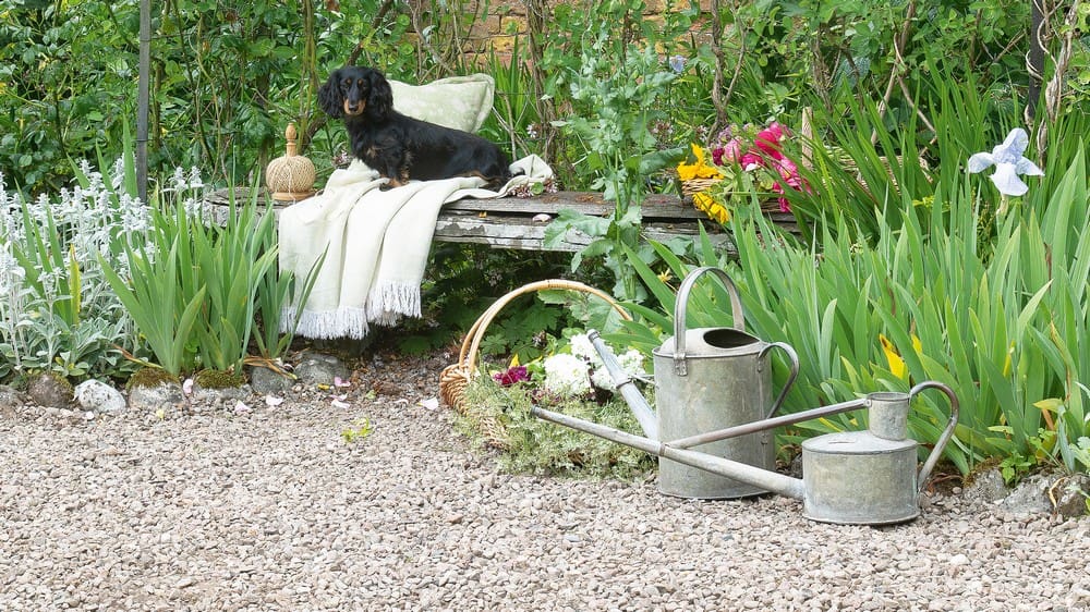 5 Budget-Friendly Landscaping Ideas for Stunning Curb Appeal
