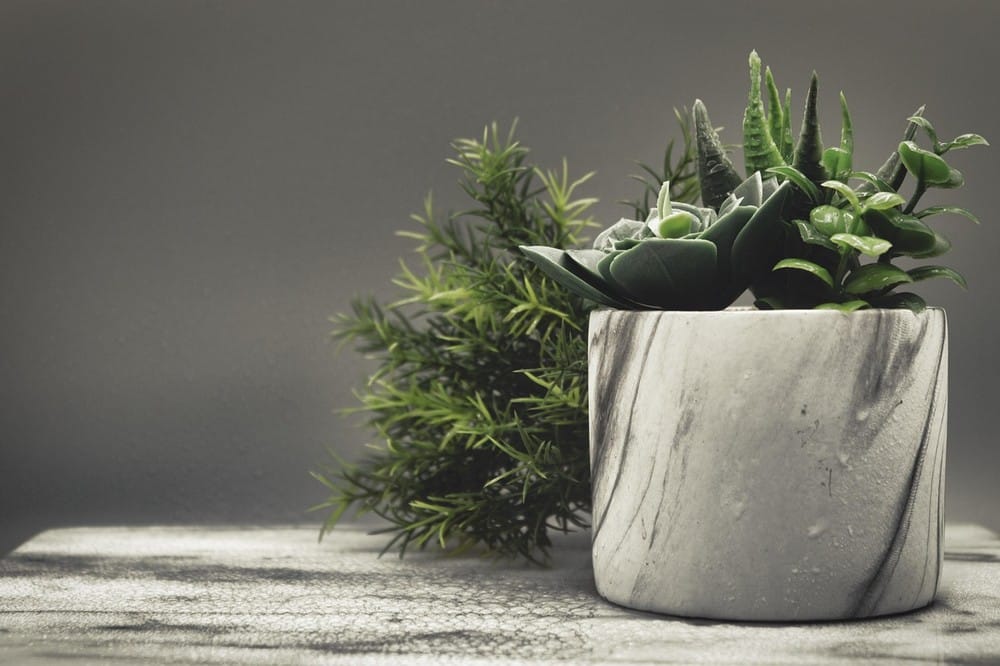 Bring a Sense of Cool to Your Home This Summer