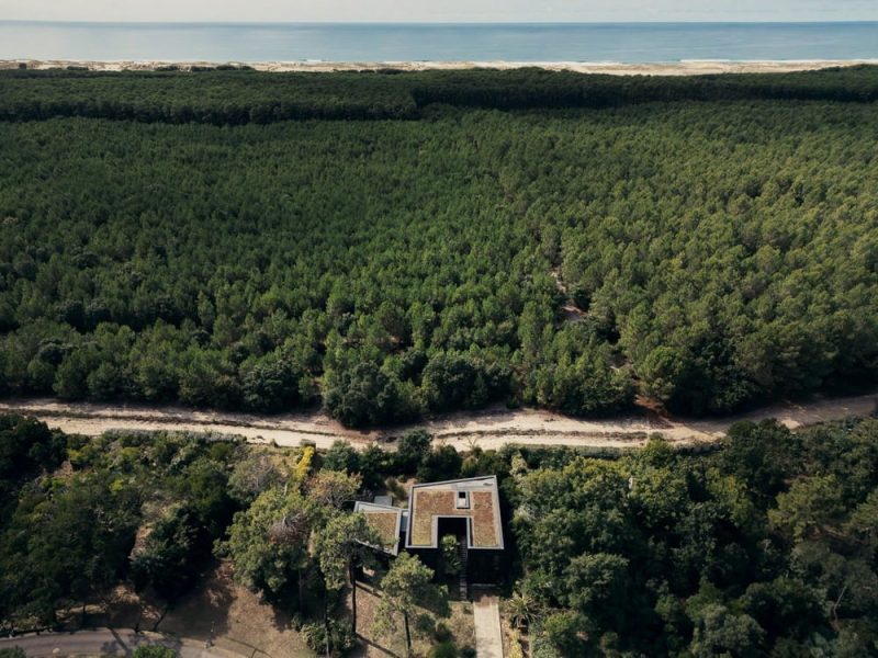 House of Landes / Maud Caubet Architectes